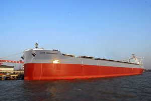 205,000 DWT Bulk Carrier Cape Sasanqua delivered