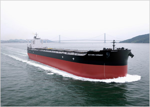 180,000 DWT Bulk Carrier Southern Harmony Delivered