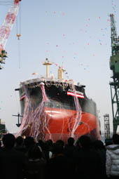 Bulk Carrier Bulk Argentina Launched