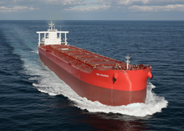180,000 DWT Bulk Carrier Feg Success Delivered