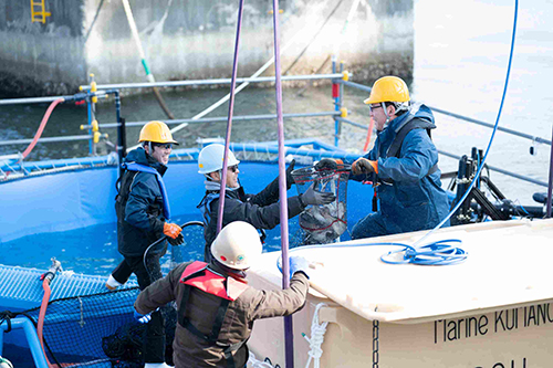 news_240627-2