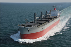 Bulk Carrier Stenia Colossus Delivered