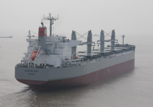 Bulk Carrier Albion Bay Delivered