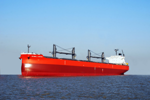Bulk Carrier Global Laguna Delivered