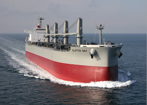 Bulk Carrier Clifton Bay Delivered
