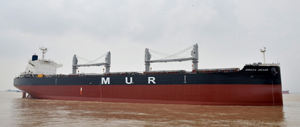 Bulk Carrier African Jacana Delivered