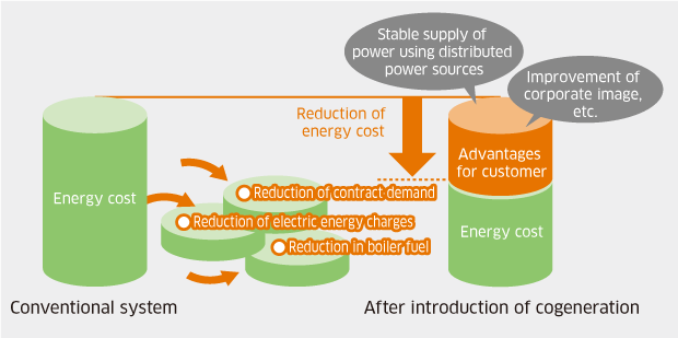 Example comparing economy of a conventional energy system and cogeneration system