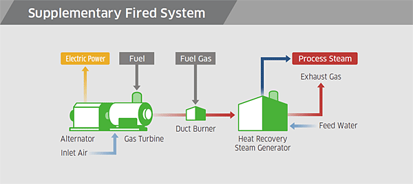 Supplementary Fired System
