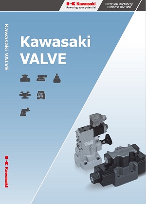 Kawasaki VALVE
