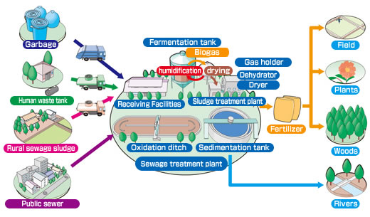 biomass energy process